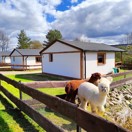 Domek Na Slonecznikowej Chmielno Exteriör bild
