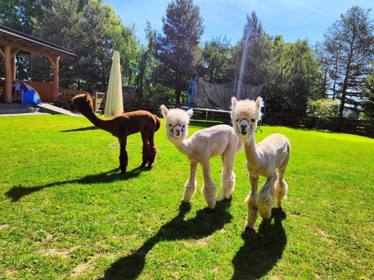 Domek Na Slonecznikowej Chmielno Exteriör bild