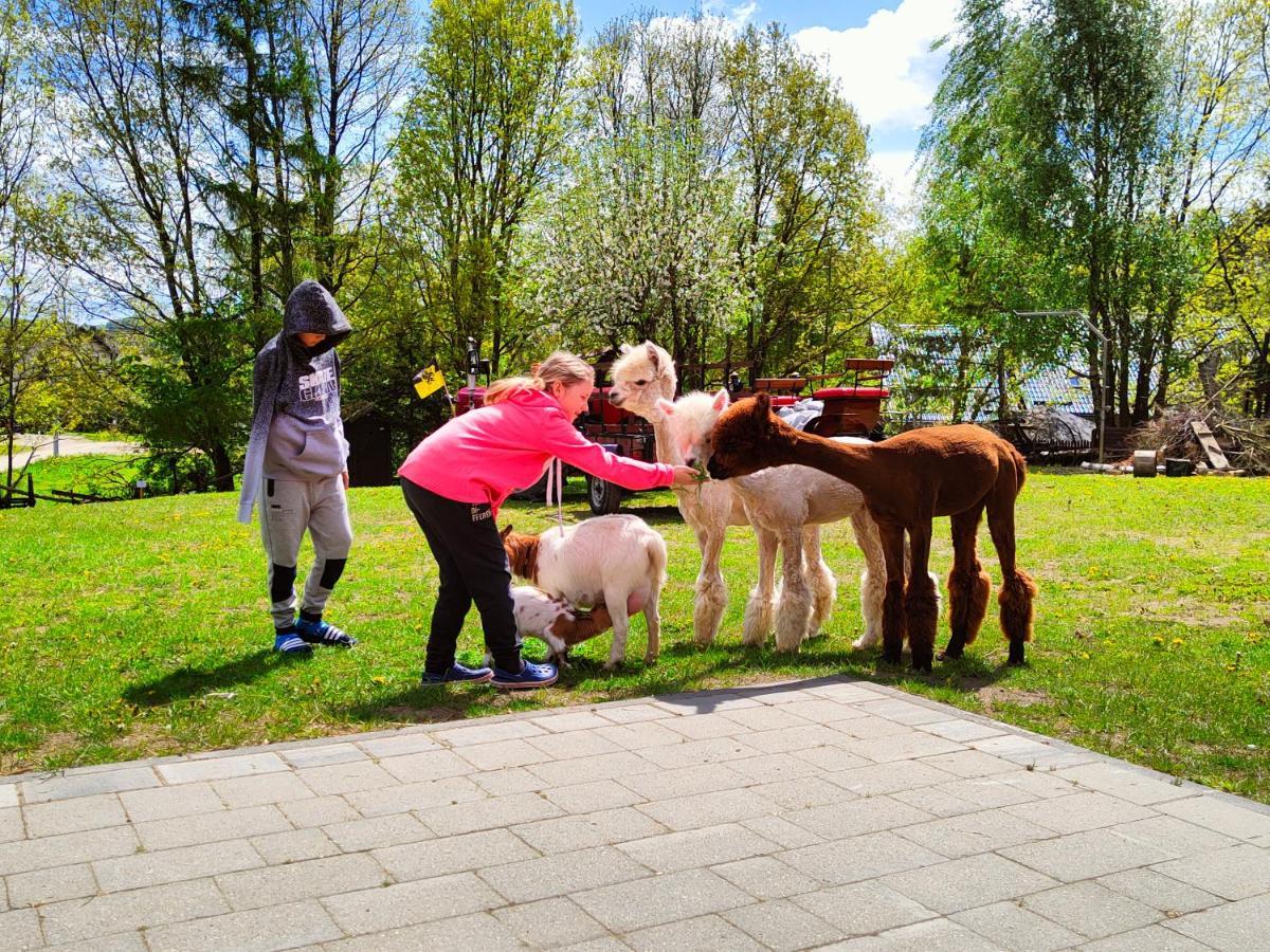 Domek Na Slonecznikowej Chmielno Exteriör bild