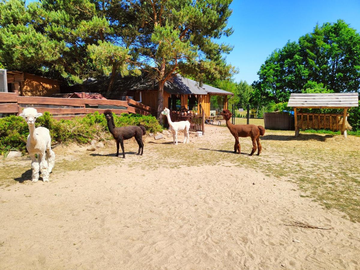 Domek Na Slonecznikowej Chmielno Exteriör bild