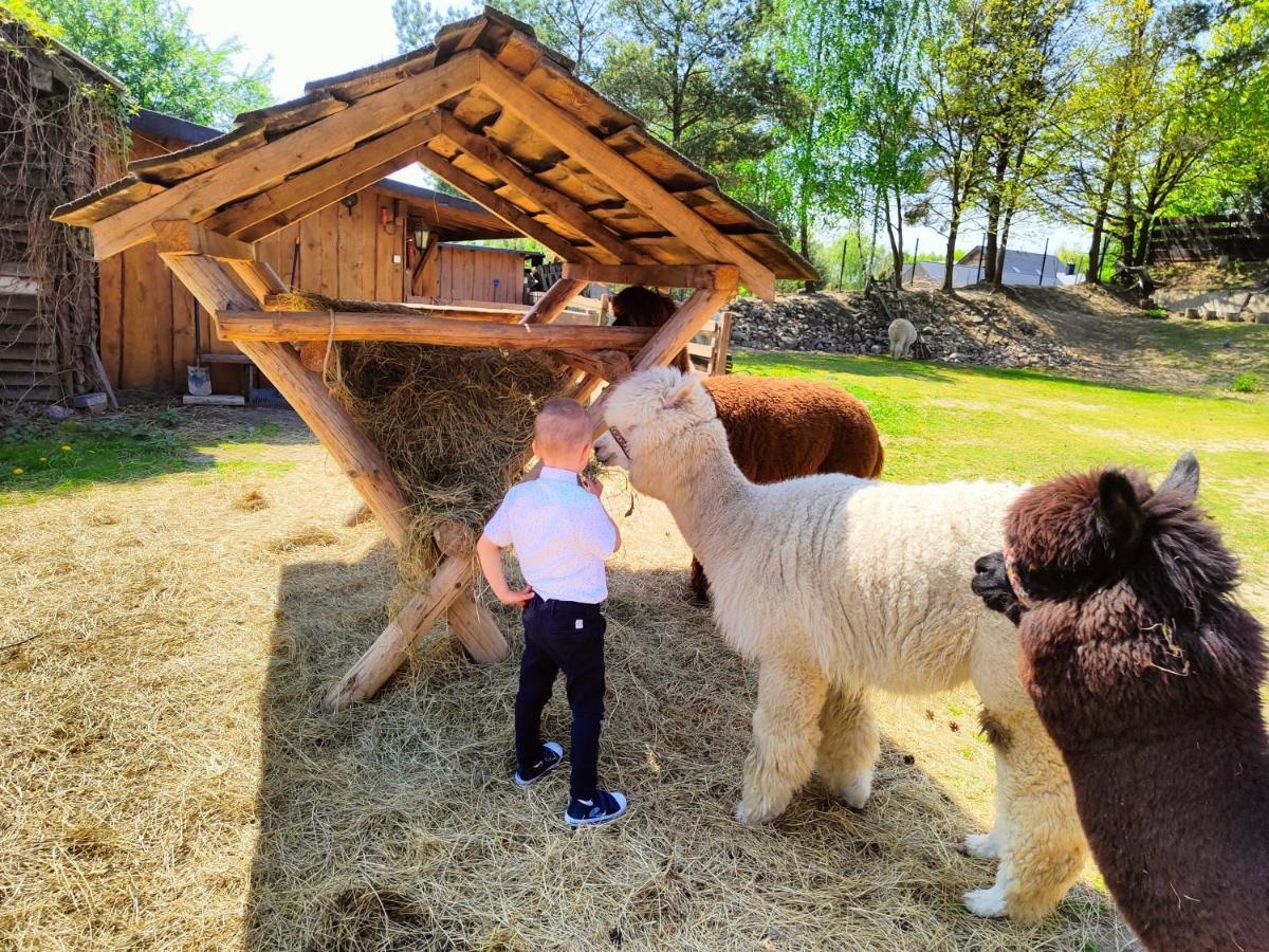 Domek Na Slonecznikowej Chmielno Exteriör bild