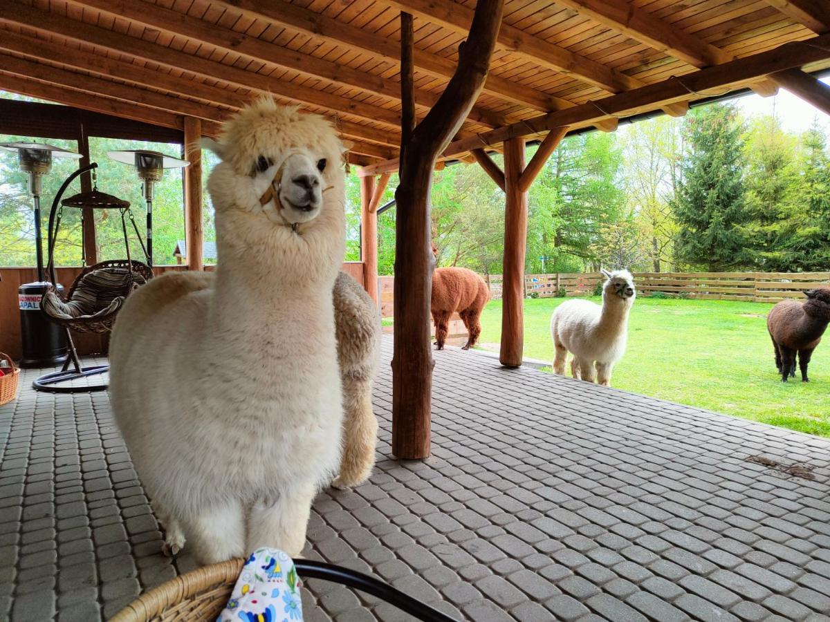 Domek Na Slonecznikowej Chmielno Exteriör bild