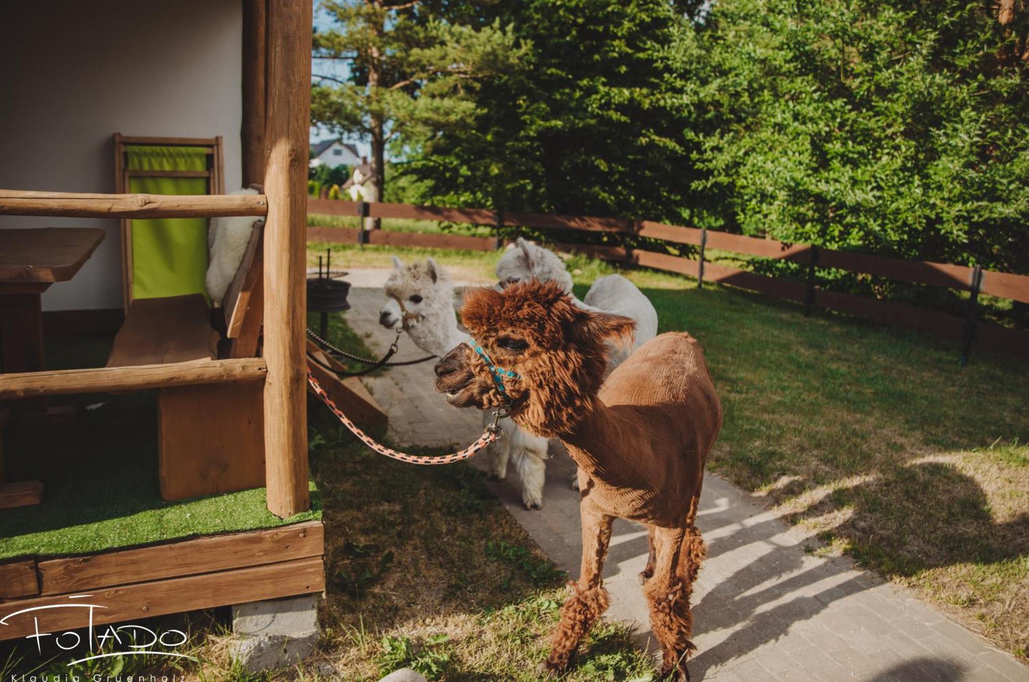 Domek Na Slonecznikowej Chmielno Exteriör bild