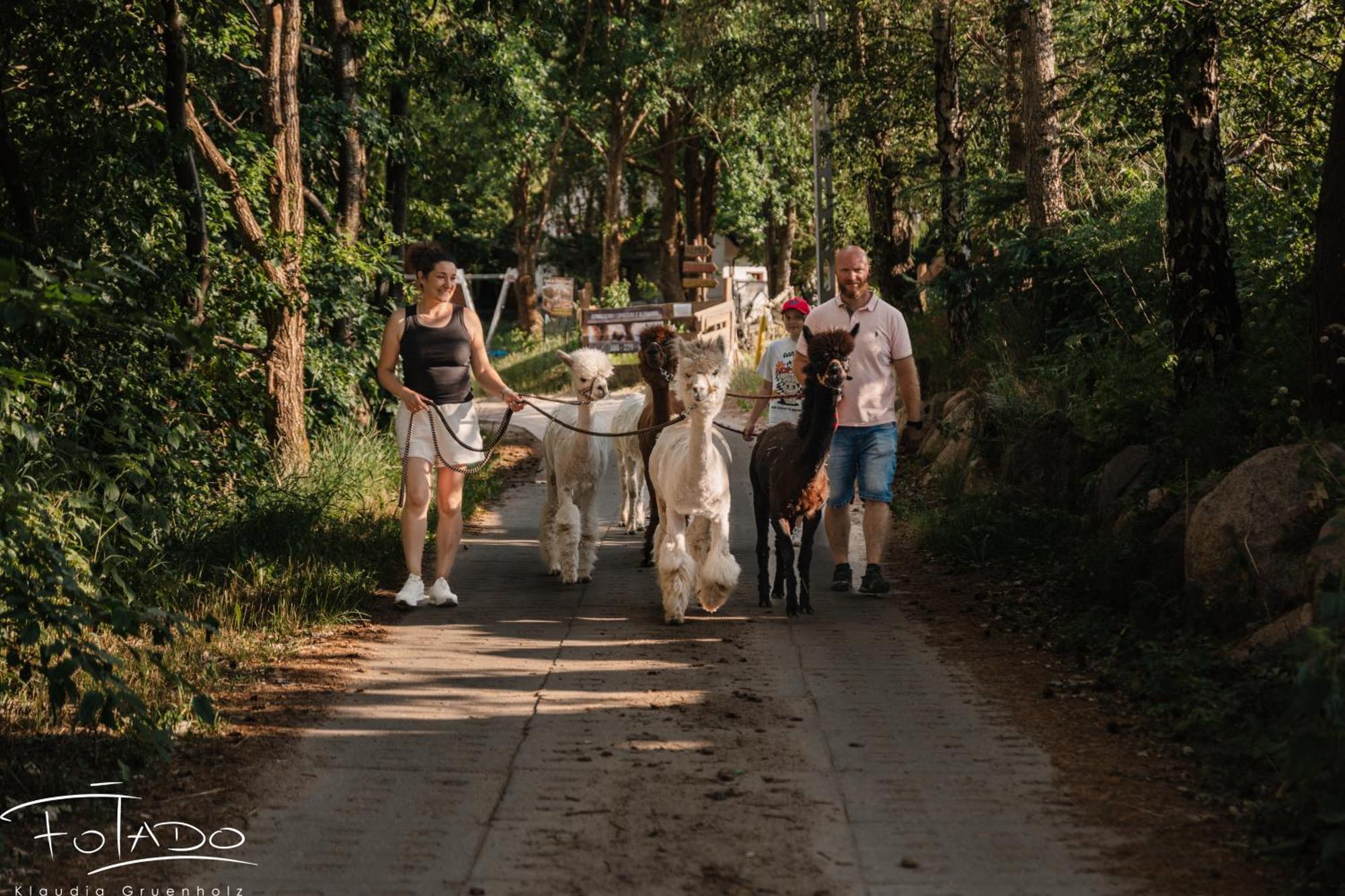 Domek Na Slonecznikowej Chmielno Exteriör bild